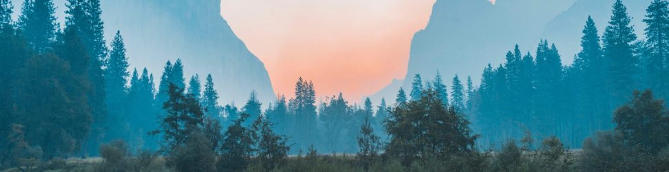 bailey-zindel-NRQV-hBF10M-unsplash