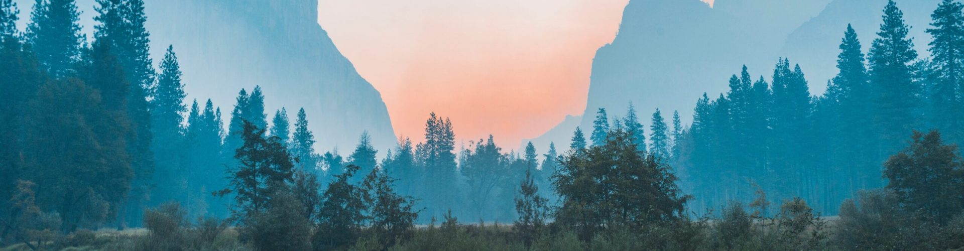 bailey-zindel-NRQV-hBF10M-unsplash